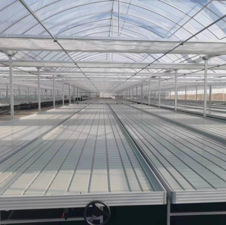 Commercial Greenhouse Seedbed 4X8 Ft Nursery Bed Ebb And Flow Tray Hydroponics Movable Rolling Bench System Flood Table