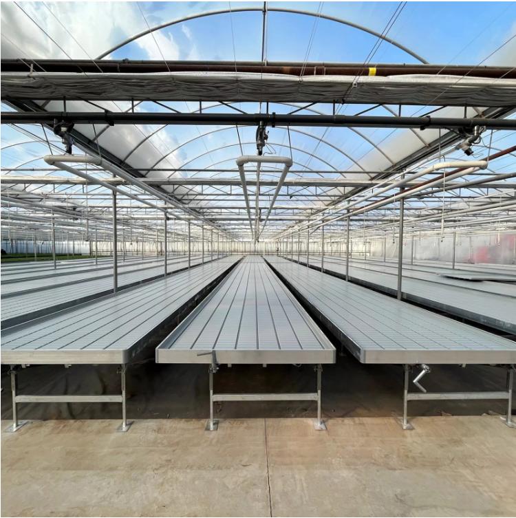 Commercial Greenhouse Seedbed 4X8 Ft Nursery Bed Ebb And Flow Tray Hydroponics Movable Rolling Bench System Flood Table